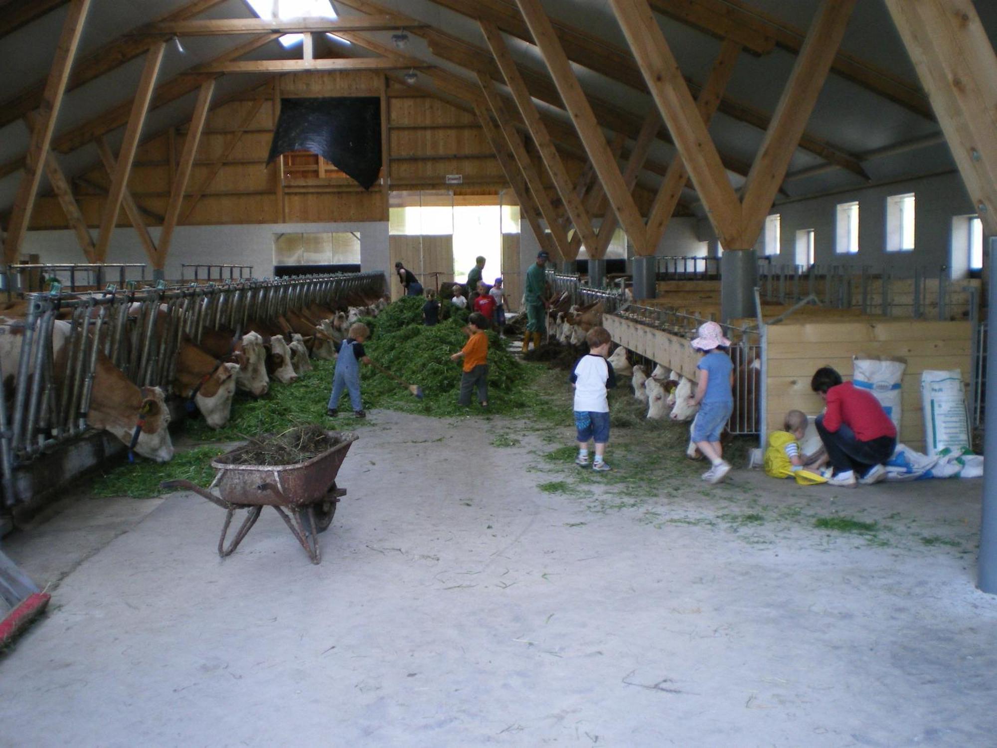 Russbachbauer Villa Saint Wolfgang Exteriör bild