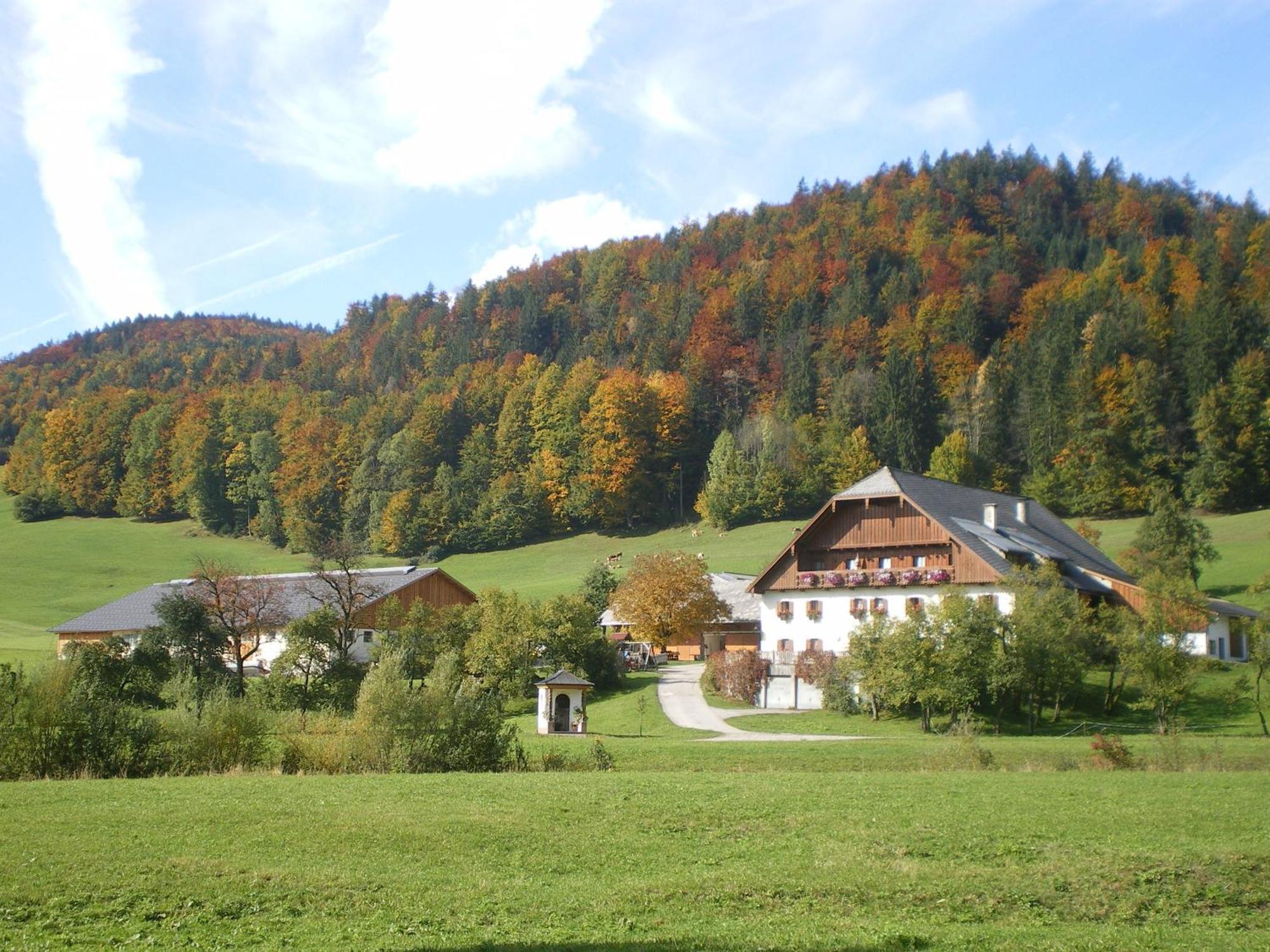 Russbachbauer Villa Saint Wolfgang Exteriör bild
