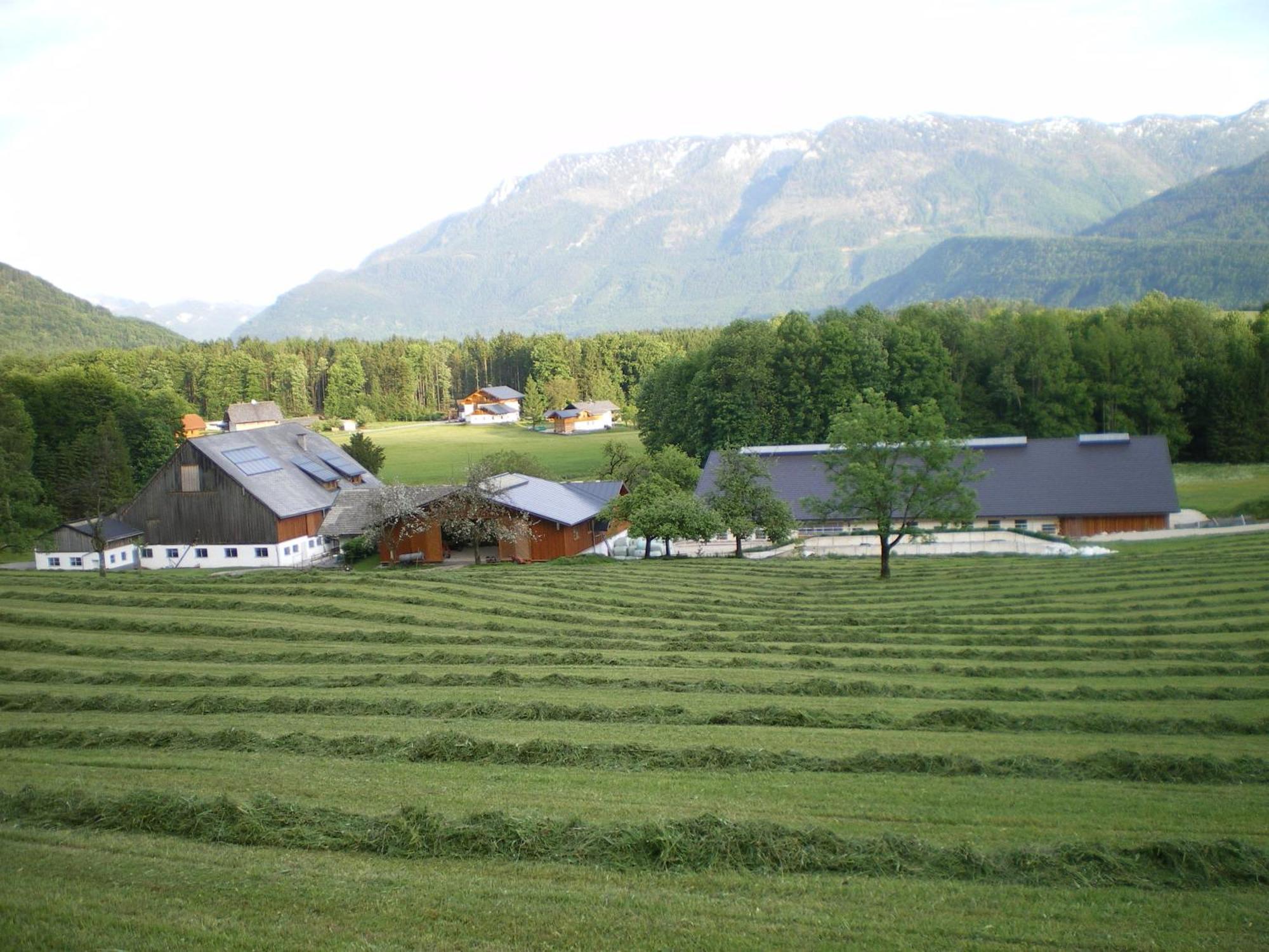Russbachbauer Villa Saint Wolfgang Exteriör bild