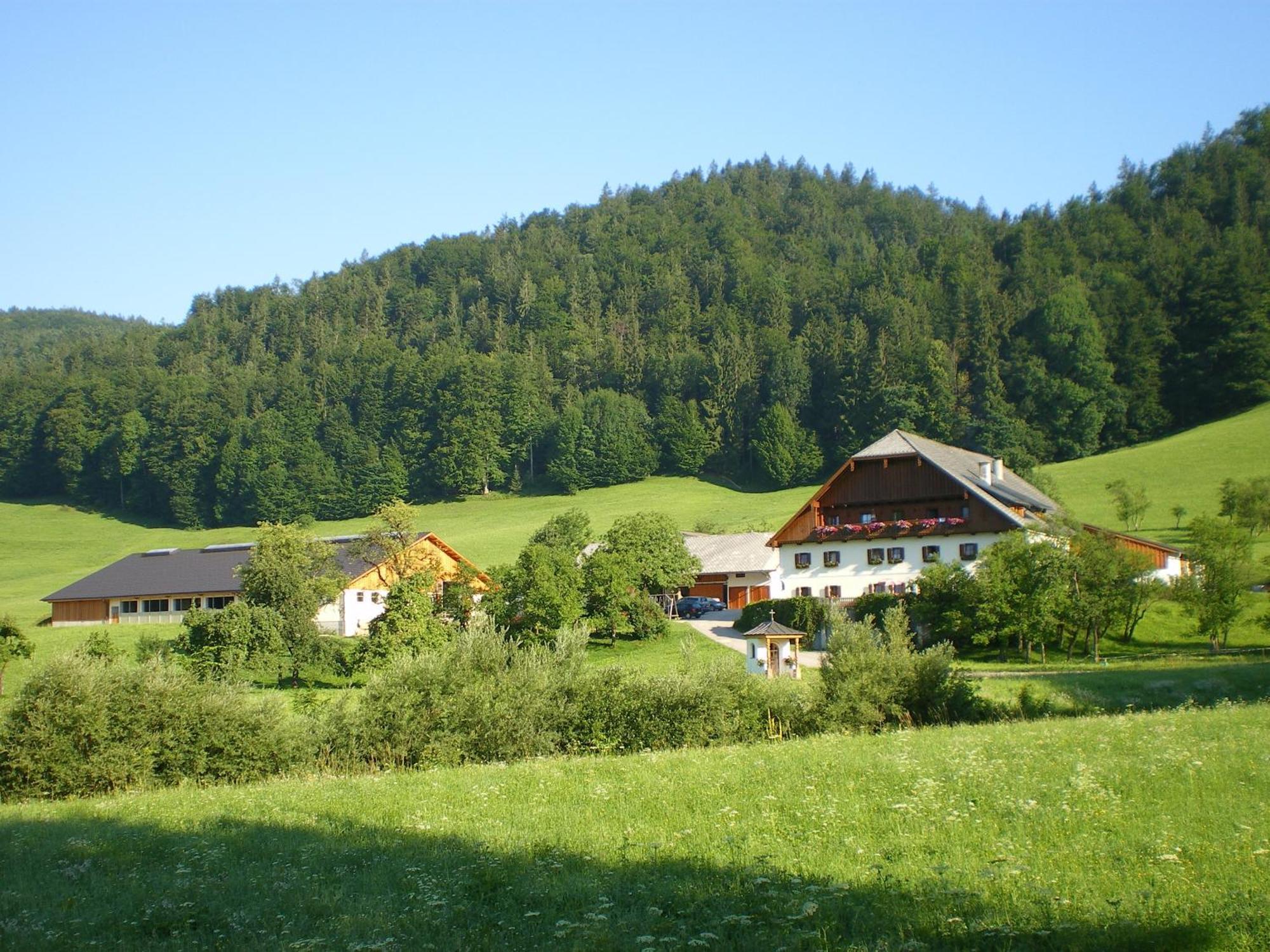 Russbachbauer Villa Saint Wolfgang Exteriör bild