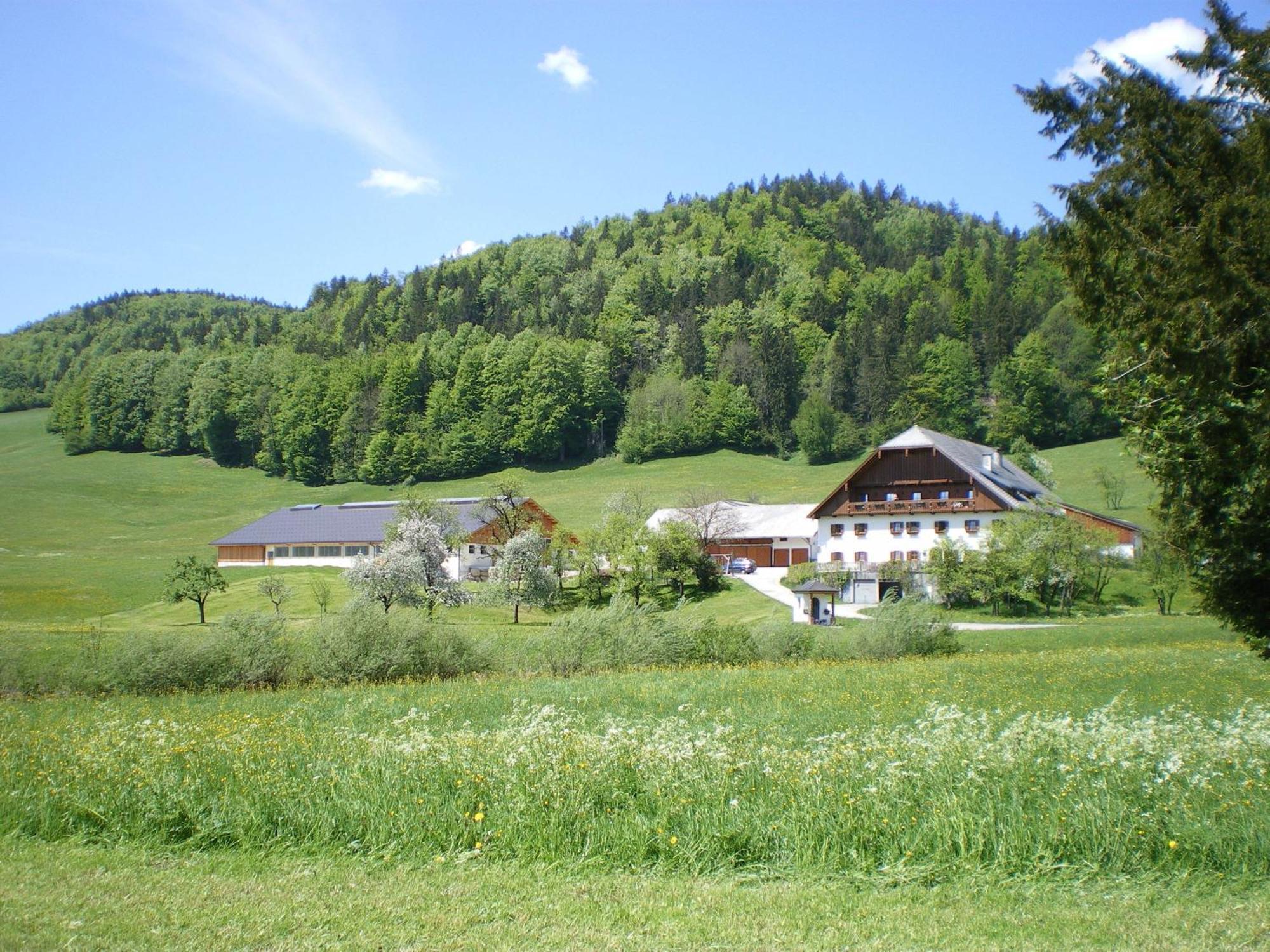 Russbachbauer Villa Saint Wolfgang Exteriör bild