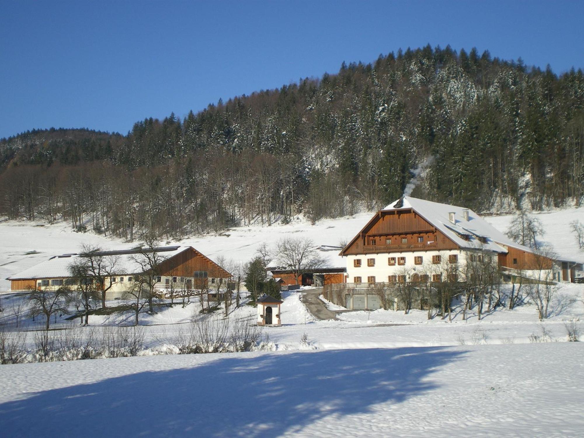 Russbachbauer Villa Saint Wolfgang Exteriör bild