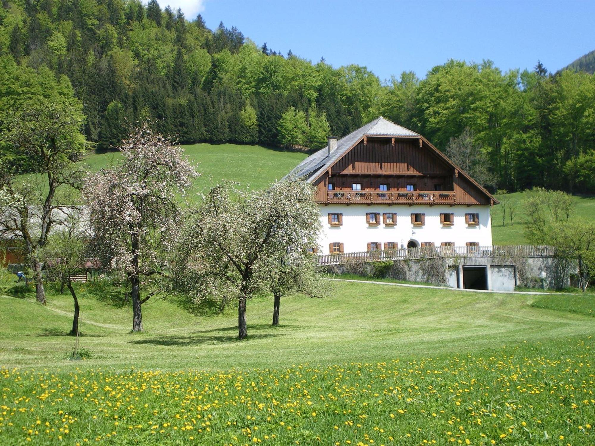 Russbachbauer Villa Saint Wolfgang Exteriör bild