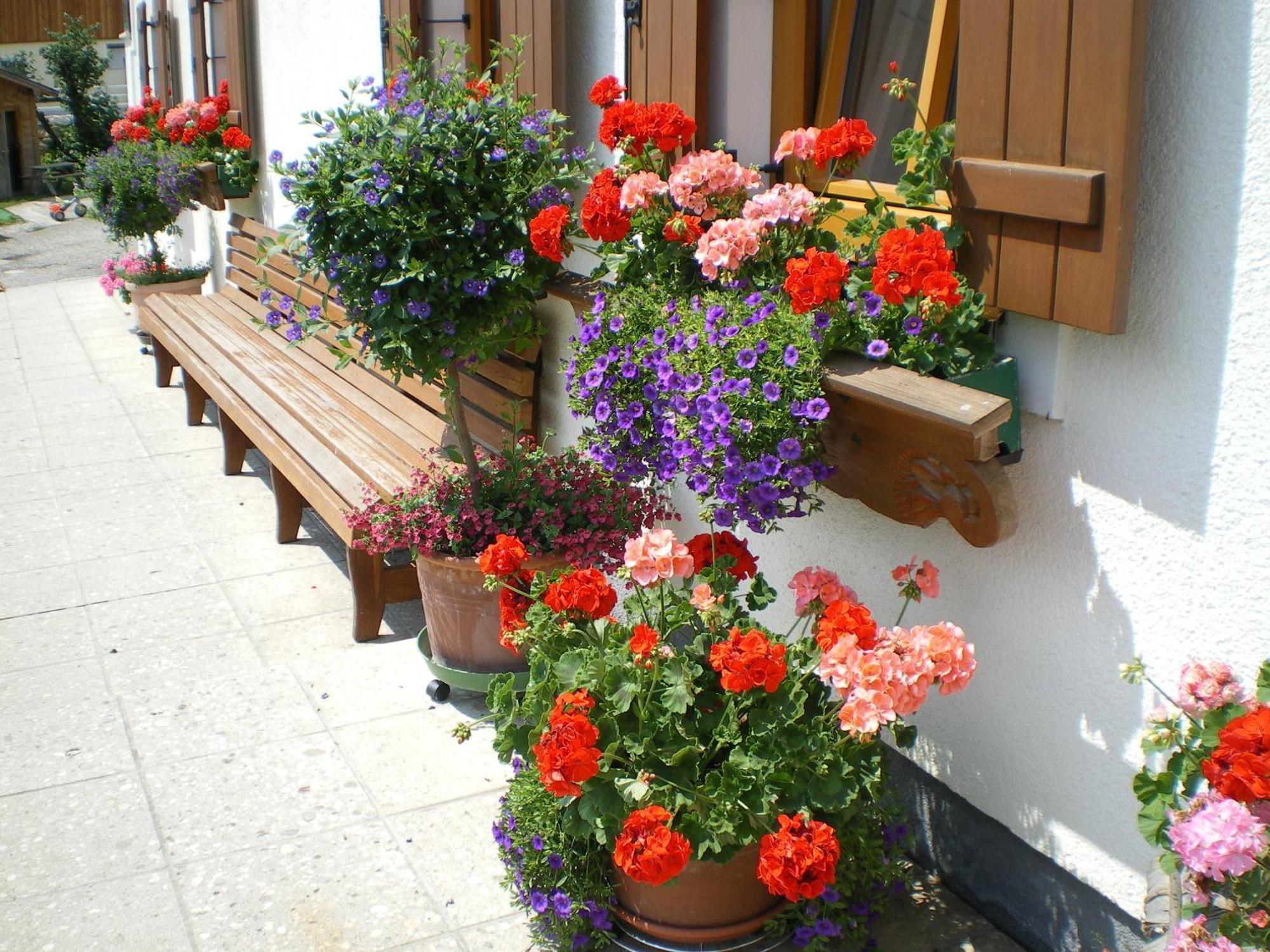 Russbachbauer Villa Saint Wolfgang Exteriör bild