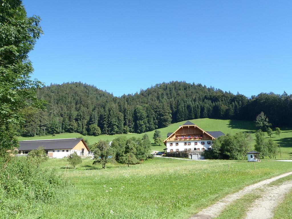 Russbachbauer Villa Saint Wolfgang Exteriör bild